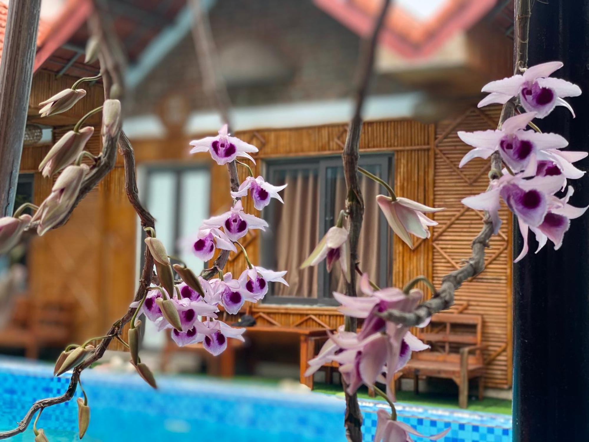 Tam Coc Charming Bungalow Ninh Binh Luaran gambar