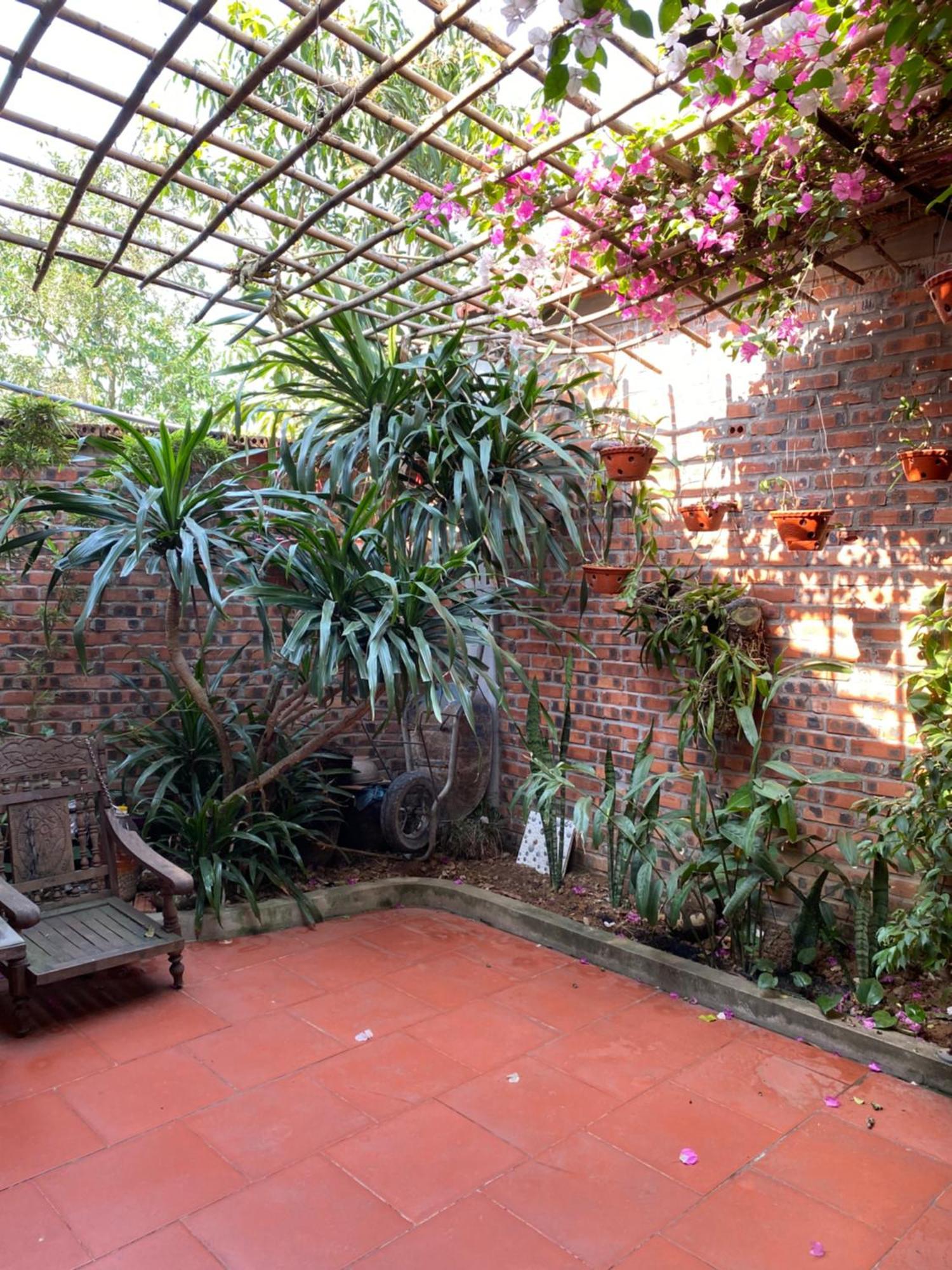 Tam Coc Charming Bungalow Ninh Binh Luaran gambar